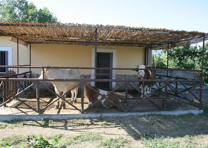 Azienda Agrituristica Vivi Natura Pompei